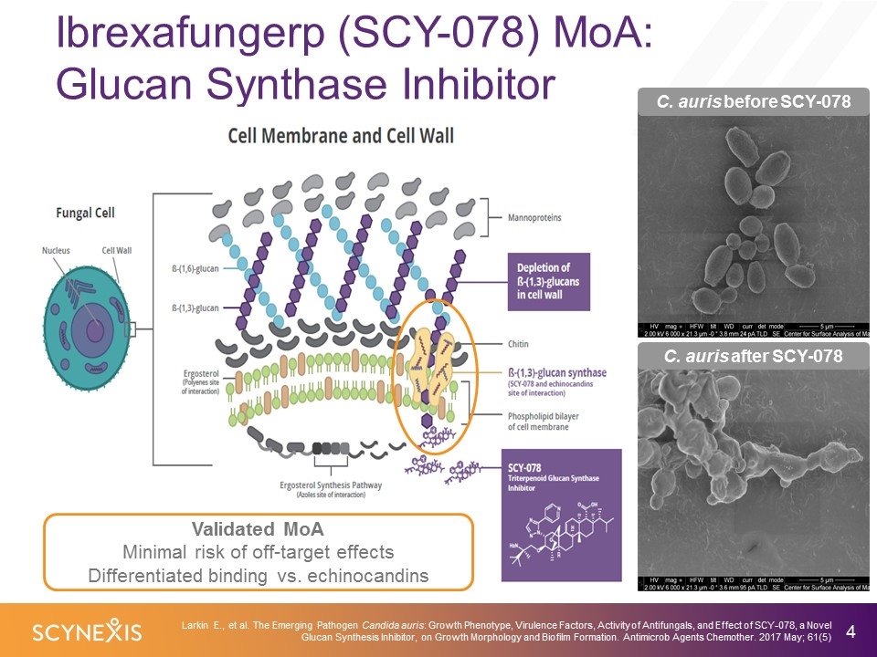 Slide 4