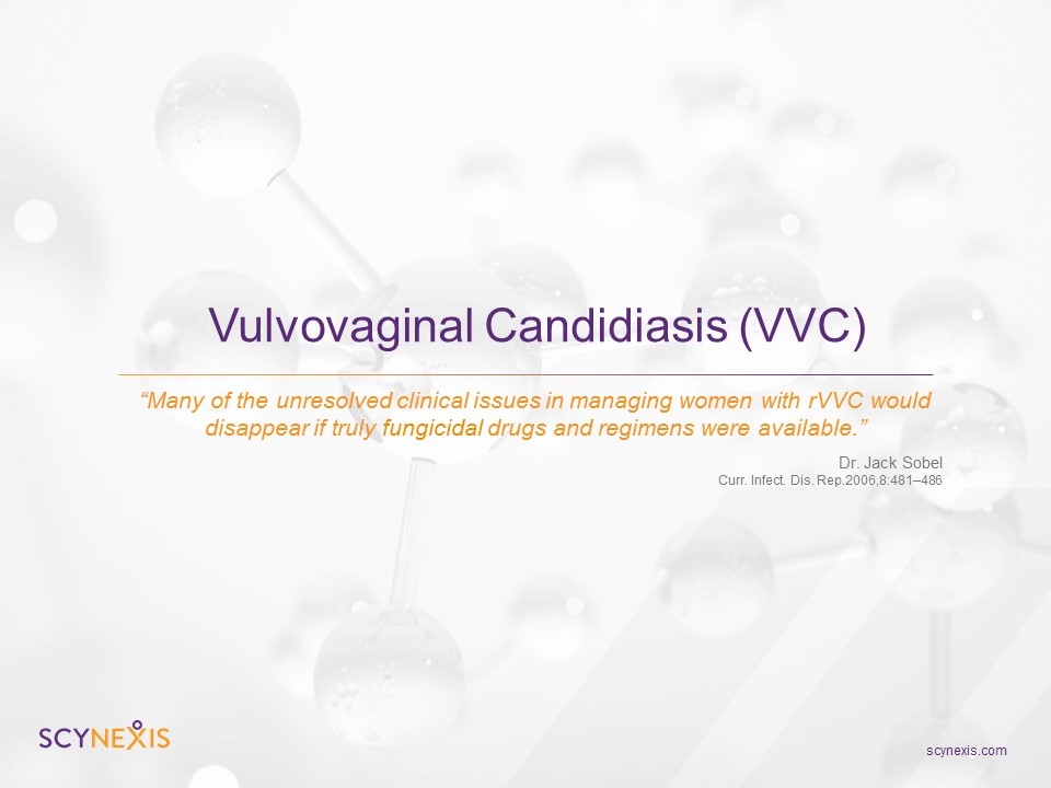 Slide 8