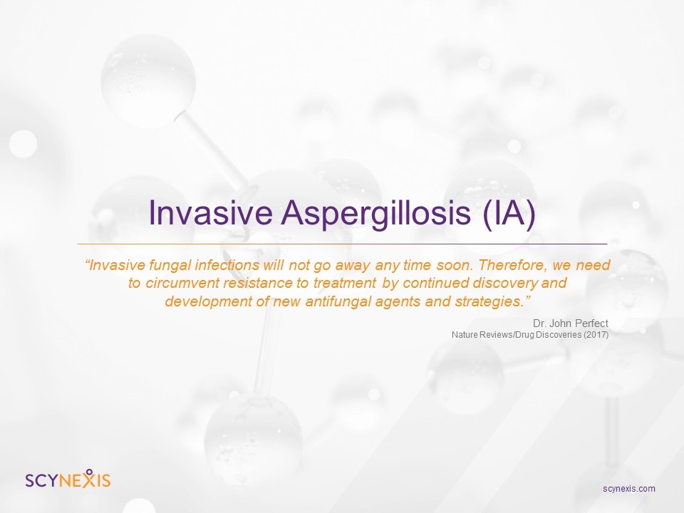 Slide 16